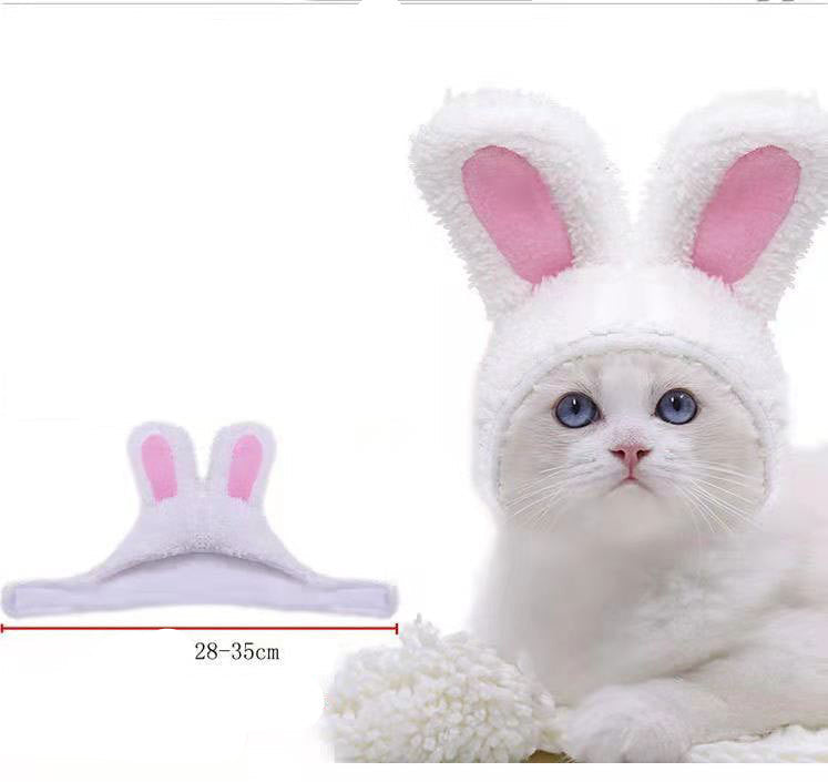 Animal & Birthday Costume Hats for Pets