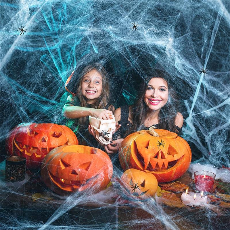 Halloween Decorations Artificial Spider Web