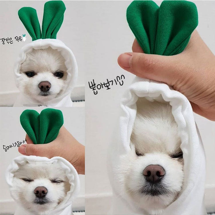 Halloween Hooded Sweatshirts For Dogs