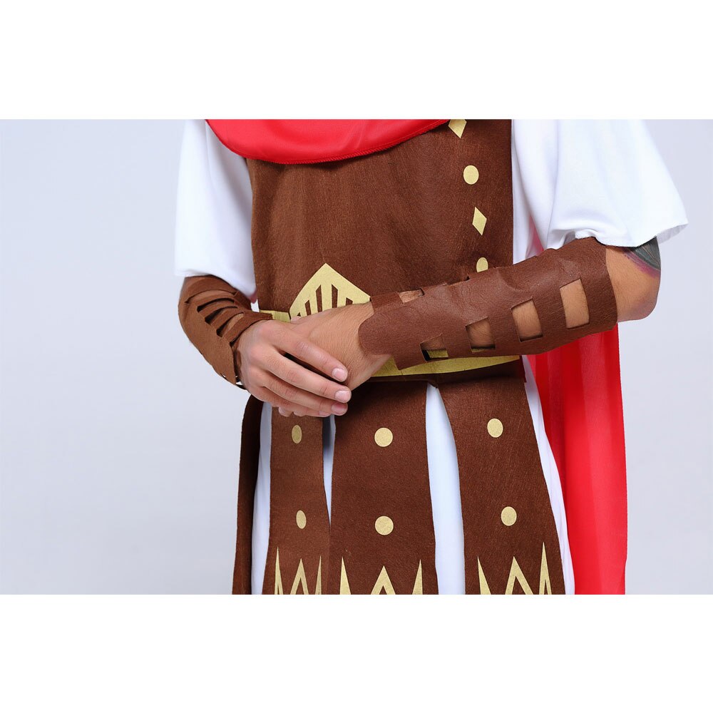 Adult Men Greek Roman Warrior Costume