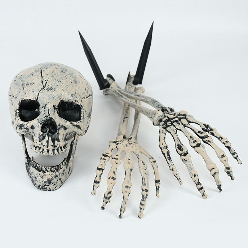 Halloween Realistic Skull Skeleton