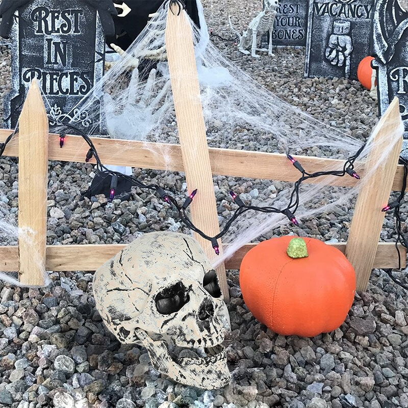 Halloween Realistic Skull Skeleton
