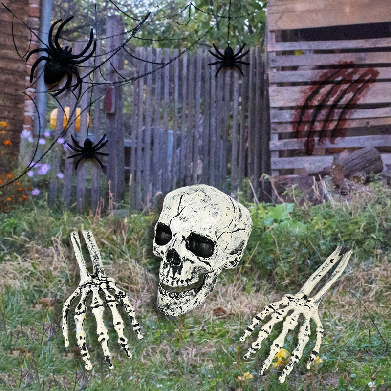 Halloween Realistic Skull Skeleton