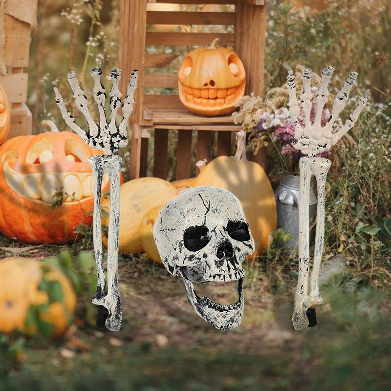 Halloween Realistic Skull Skeleton