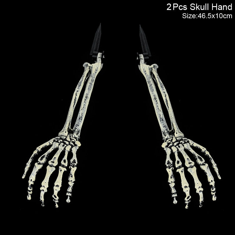Halloween Realistic Skull Skeleton