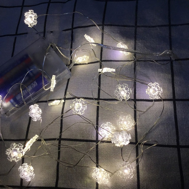 Holiday Lights
