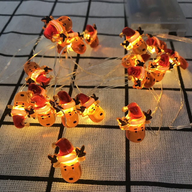 Holiday Lights