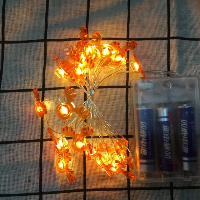 Holiday Lights
