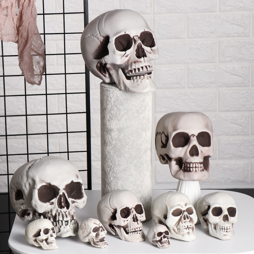 Human Skull Head Skeleton Hanging Skull