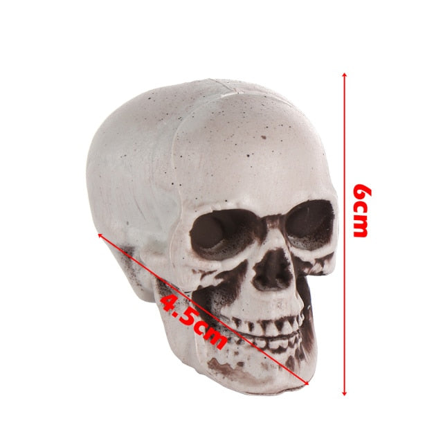 Human Skull Head Skeleton Hanging Skull