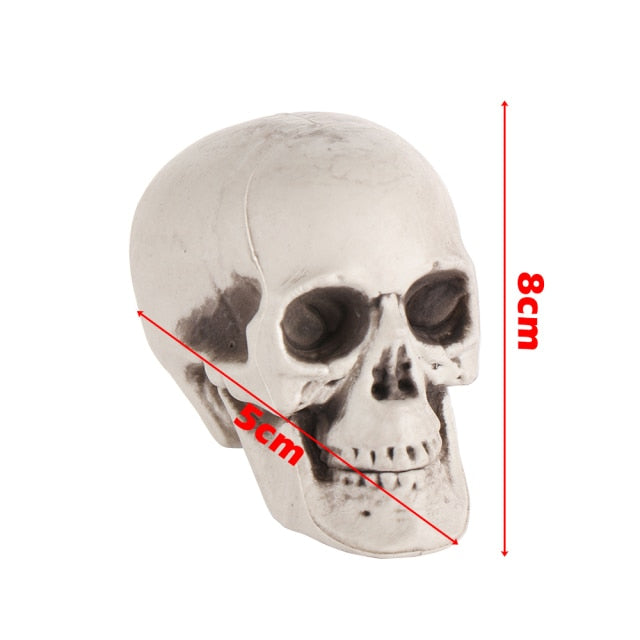 Human Skull Head Skeleton Hanging Skull