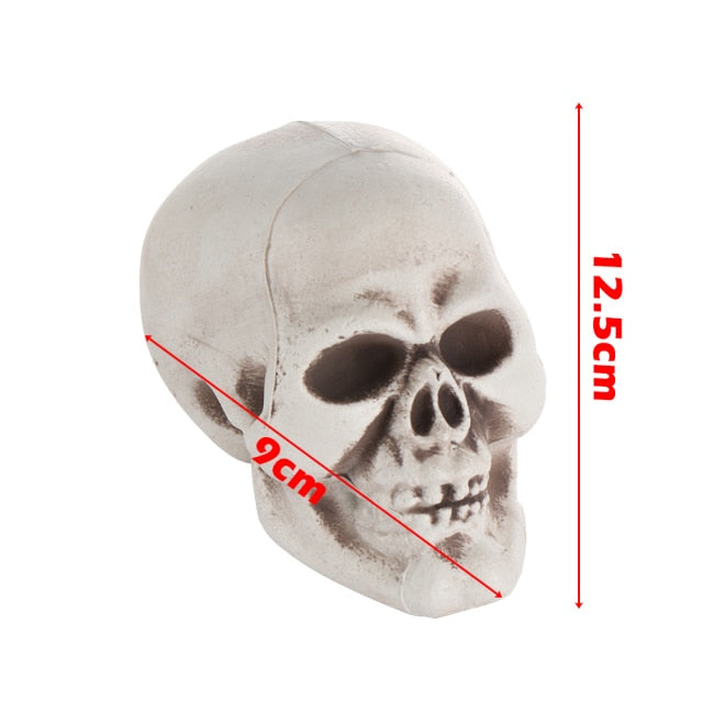 Human Skull Head Skeleton Hanging Skull
