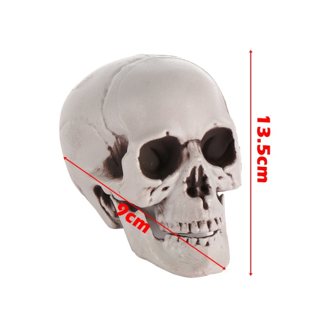 Human Skull Head Skeleton Hanging Skull
