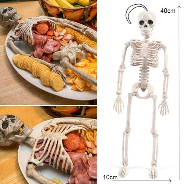 Halloween Skeleton Plastic Human Skull