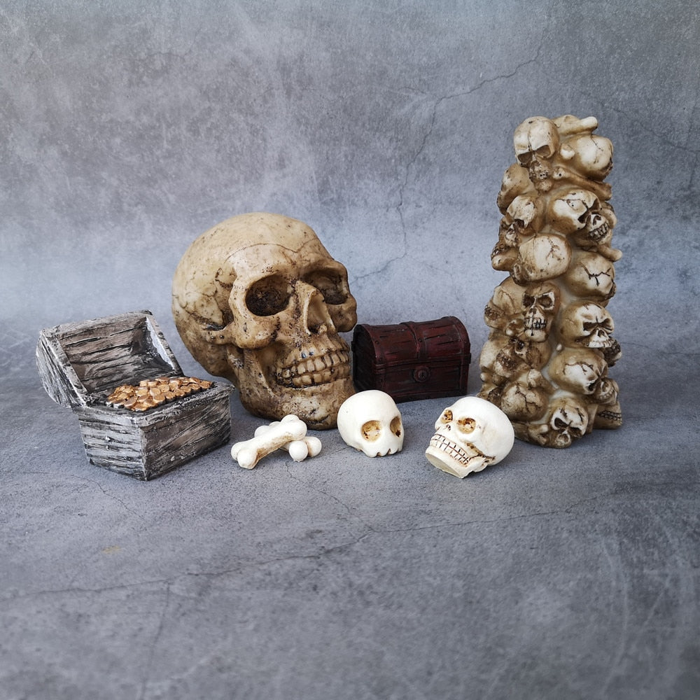 Skull Treasure Box Halloween Toy