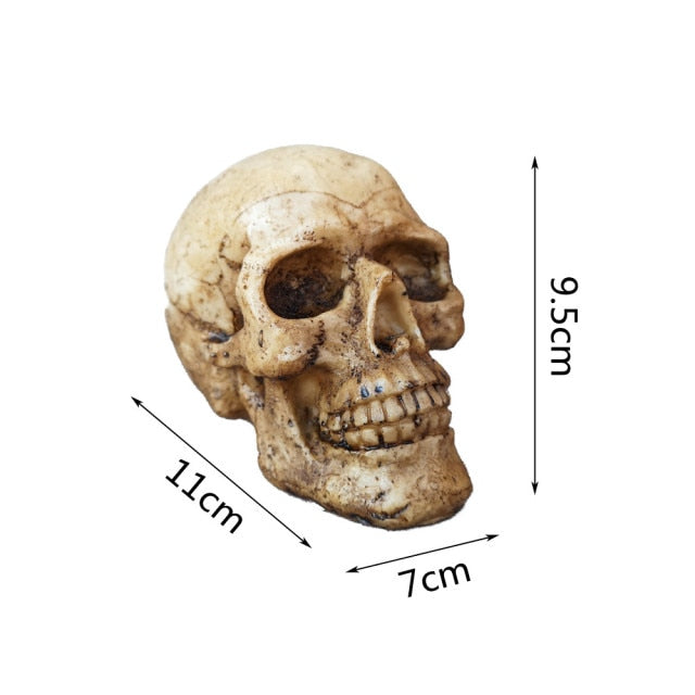Skull Treasure Box Halloween Toy
