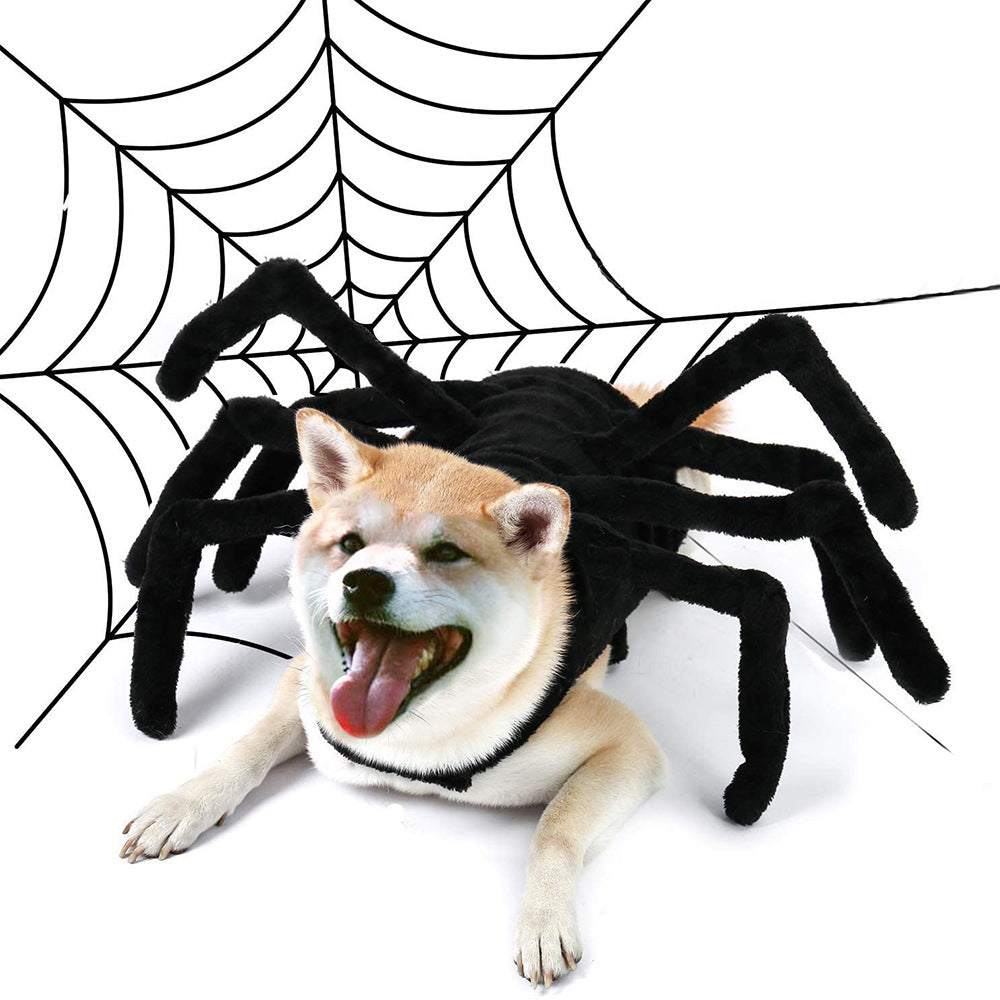 Black Spider Halloween Pet Costume