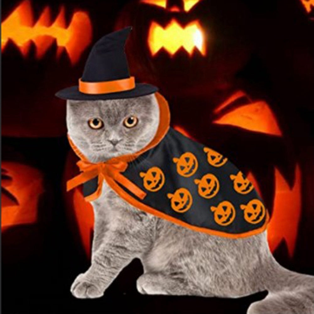 Halloween Pet Cape and Hat Costume Set