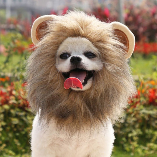 Small dog wearing a brown lion-mane costume hat with rounded ears.