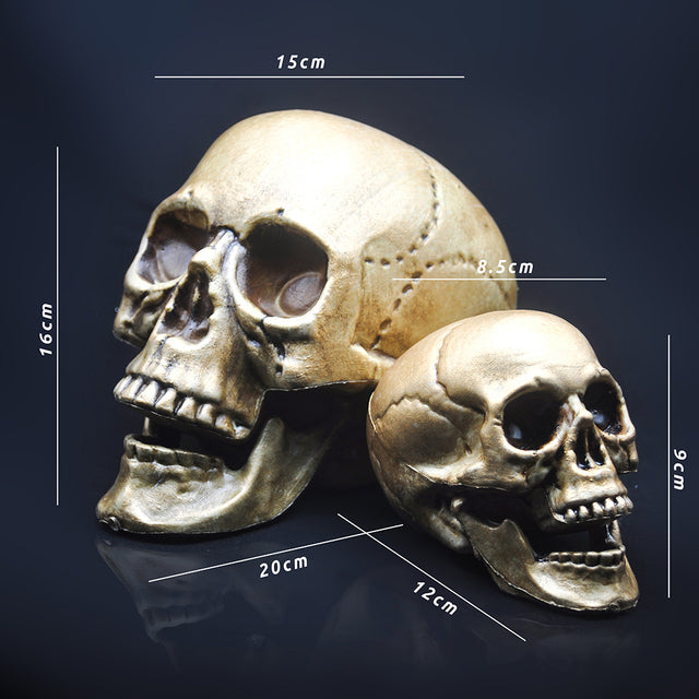 Decorative Plastic Skull for Halloween
