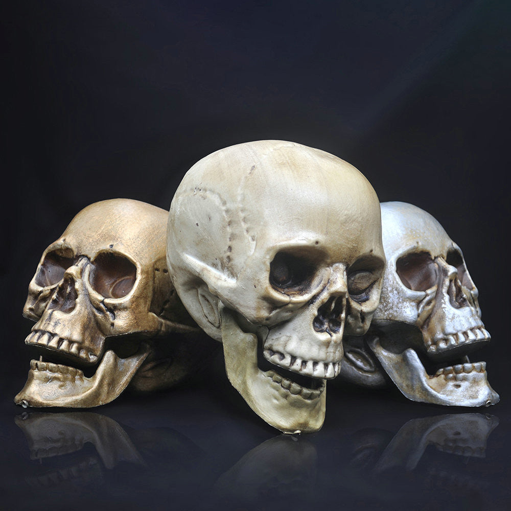 Decorative Plastic Skull for Halloween