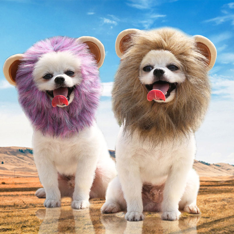 Animal & Birthday Costume Hats for Pets