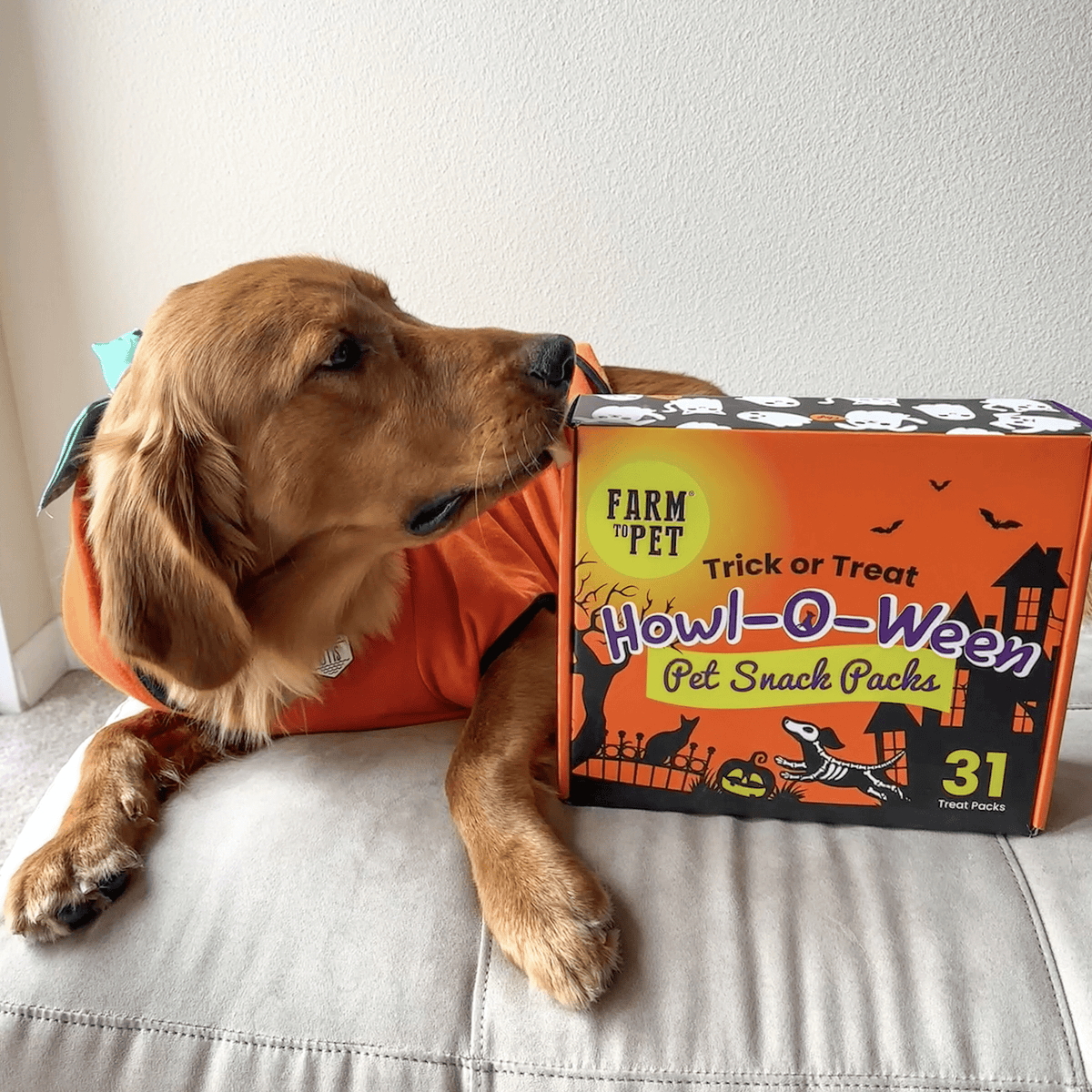 Farm to Pet Halloween Dog Treat Box, 31 Snack Packs