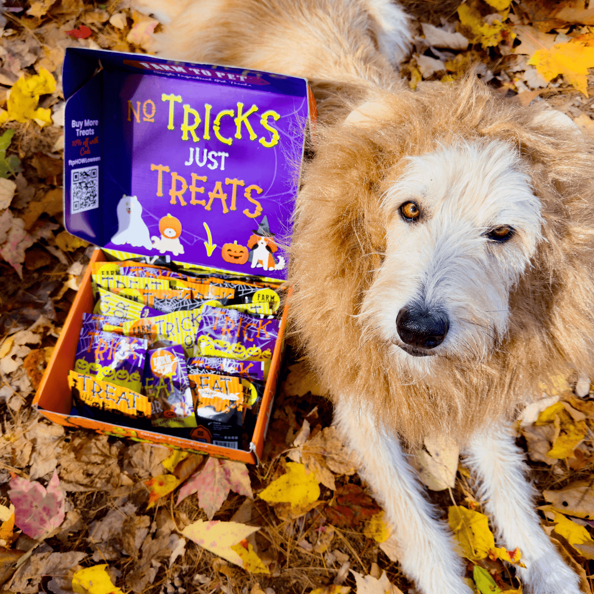 Farm to Pet Halloween Dog Treat Box, 31 Snack Packs