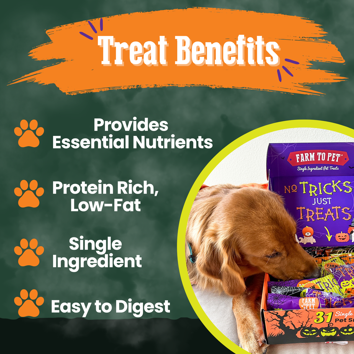 Farm to Pet Halloween Dog Treat Box, 31 Snack Packs
