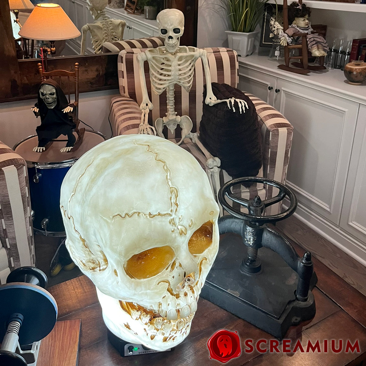 SCREAMIUM 20-Inch Animated Light-Up Skull Prop