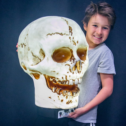 SCREAMIUM 20-Inch Animated Light-Up Skull Prop