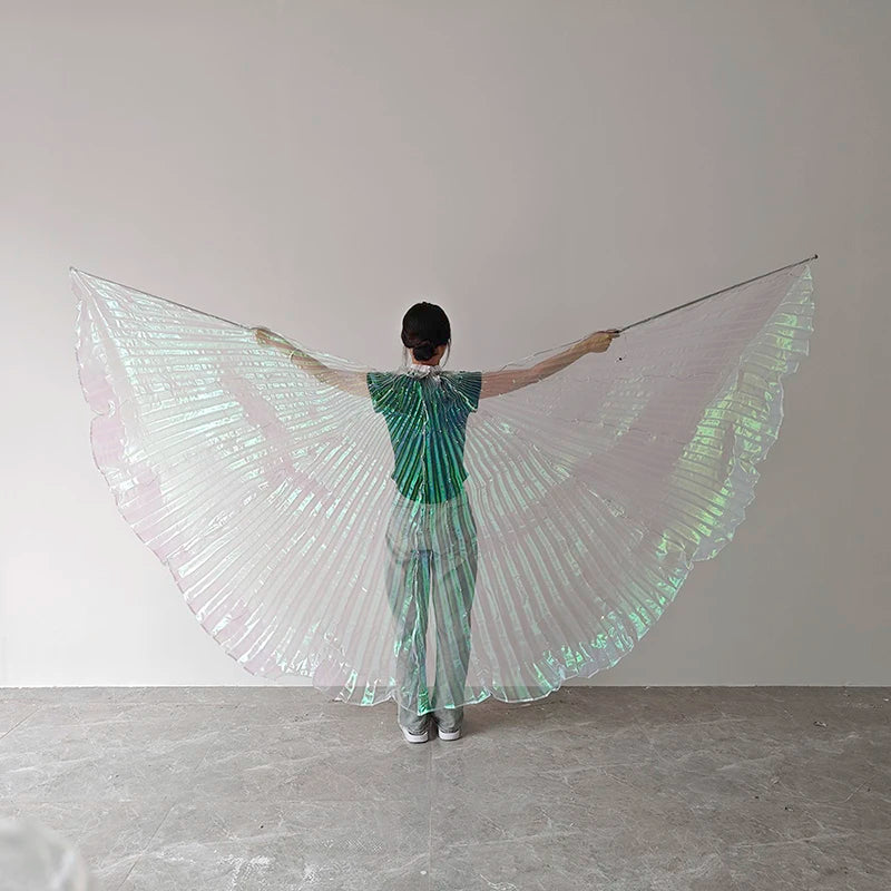 LED Luminous Butterfly Dance Wings