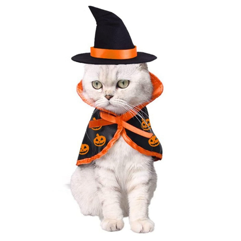 Halloween Pet Cape and Hat Costume Set
