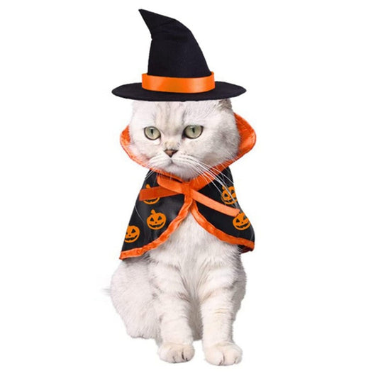 Cat modeling an orange and black Halloween cape with a matching pointed witch hat.