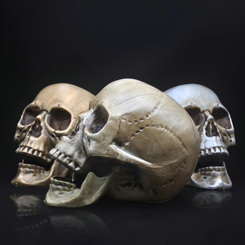 Decorative Plastic Skull for Halloween