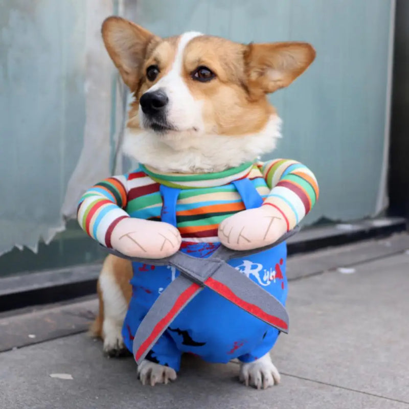 Scissor-Hands Character Costume for Pets