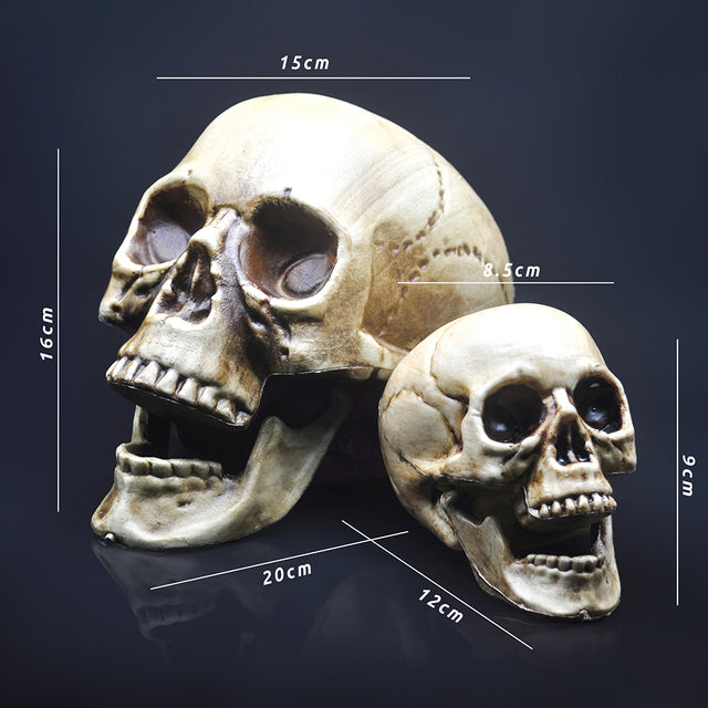 Decorative Plastic Skull for Halloween