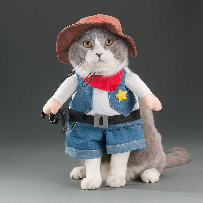 Funny cats and dogs costumes