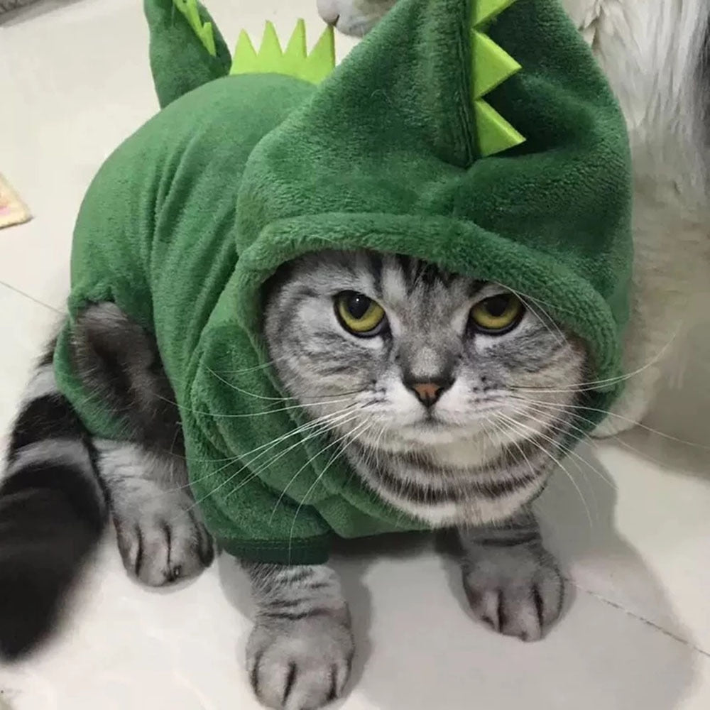 Funny Dinosaur Costume For Pets