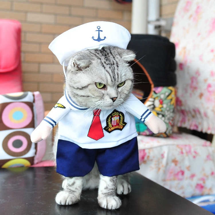 Funny cats and dogs costumes