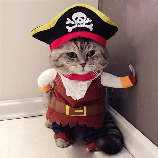 Cute Halloween Cat Pirate Costumes for adults