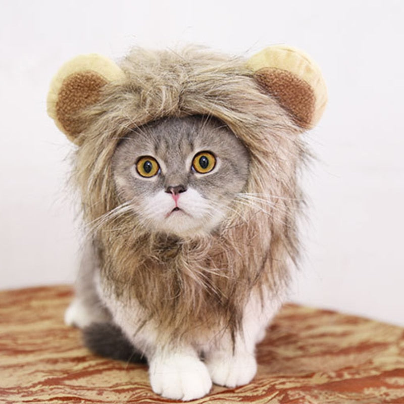 Lion Wig Cap For Cats Or Dogs