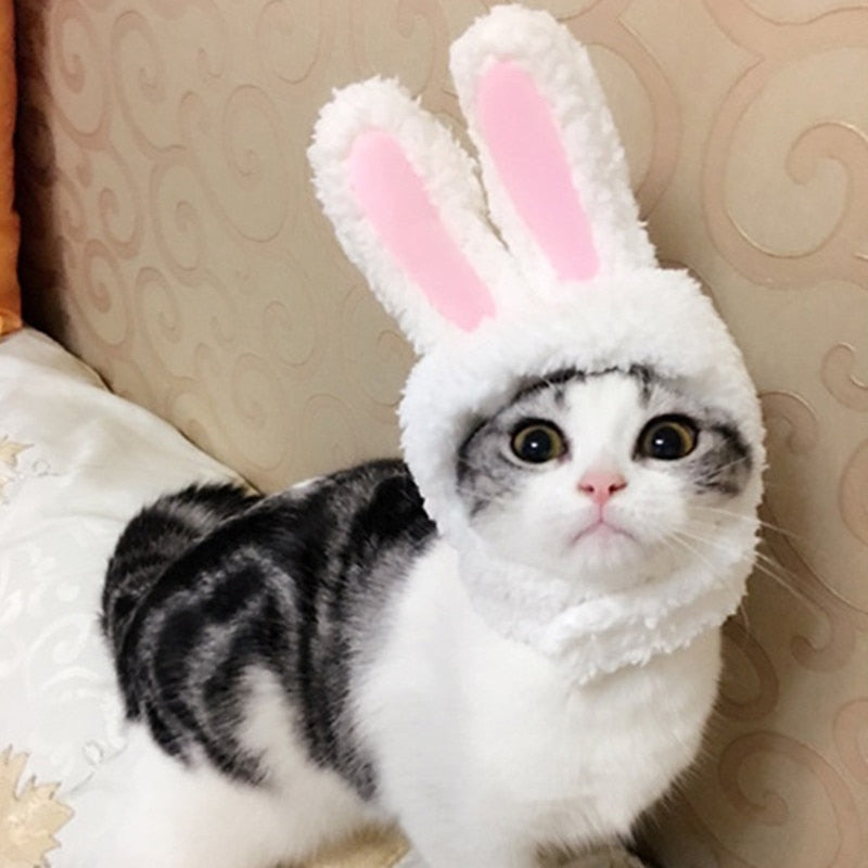 New Funny Pet Dog Cat Cap Costume