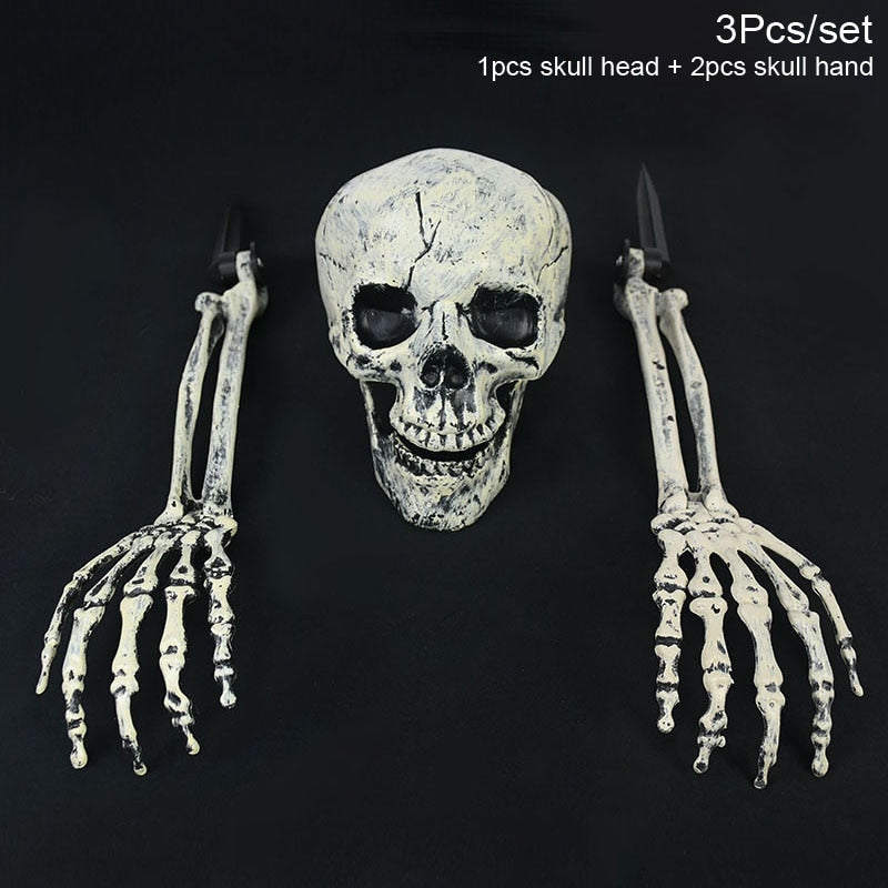 Halloween Realistic Skull Skeleton