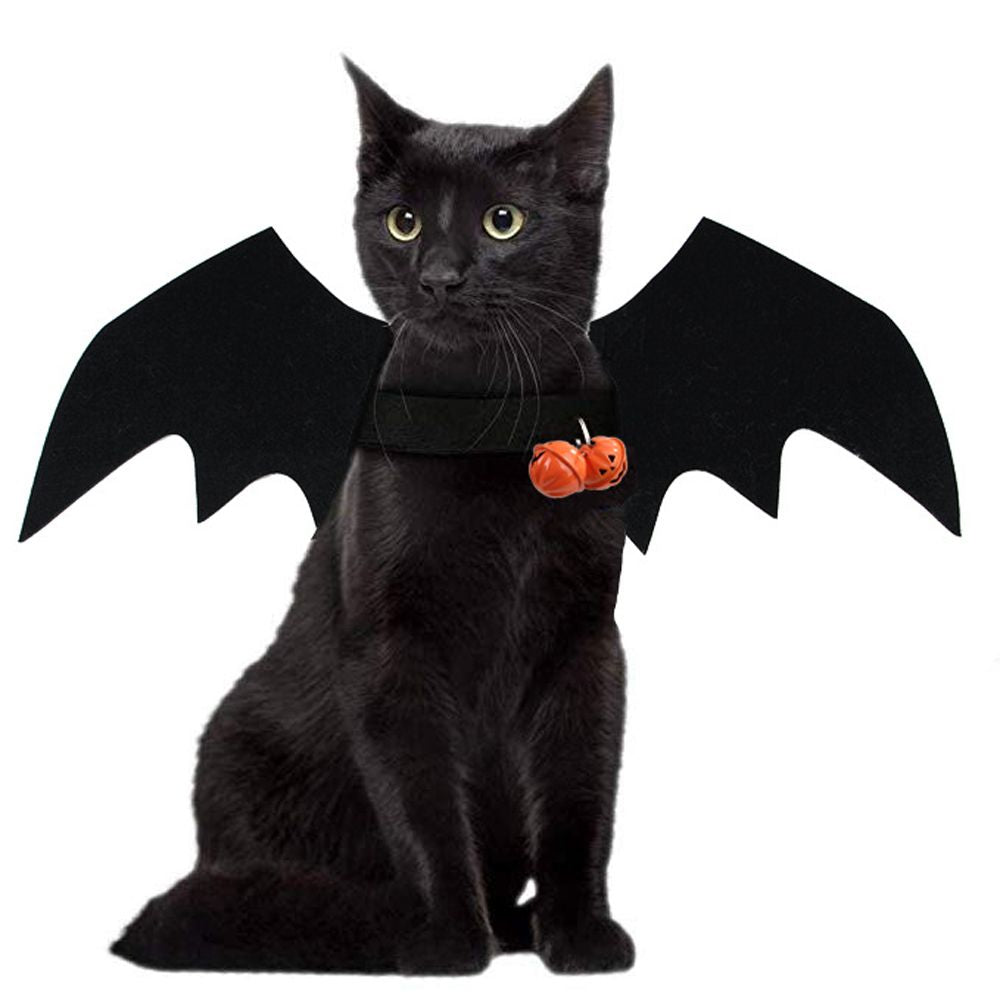 Halloween Fashion Cat Clothes Bat Wings for adults