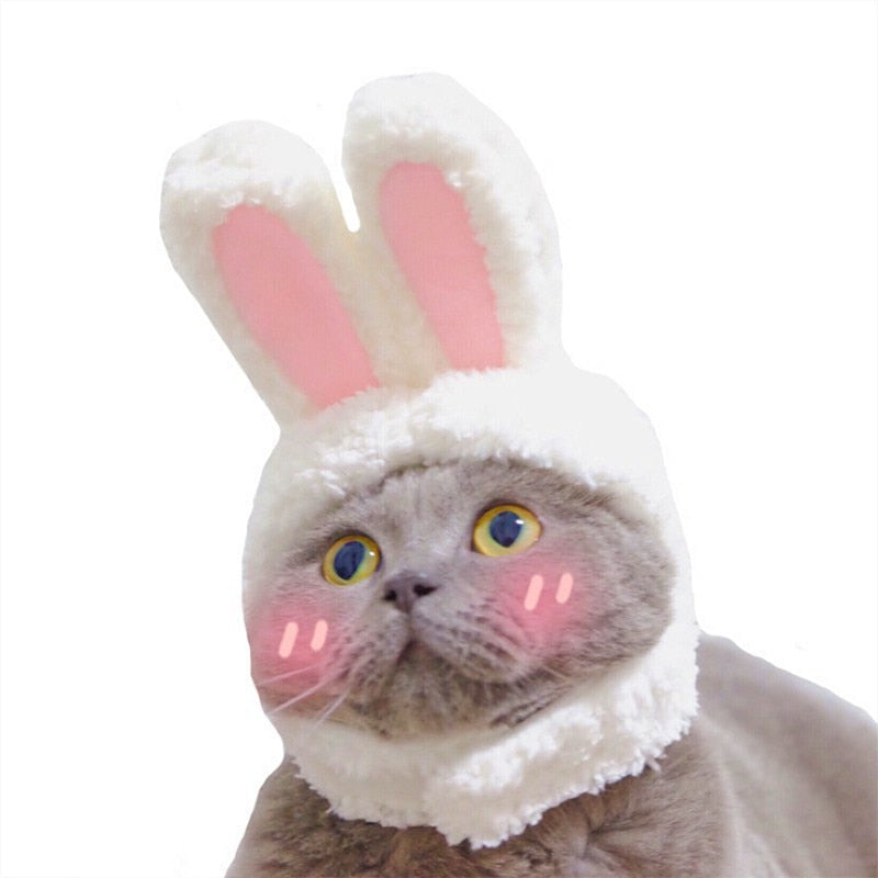 New Funny Pet Dog Cat Cap Costume