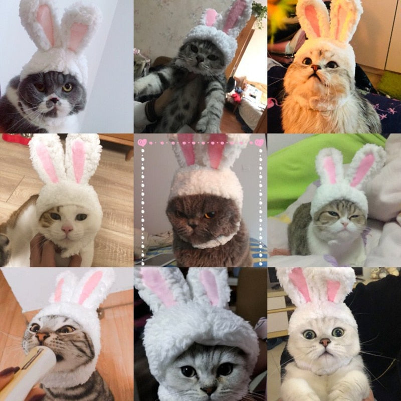 New Funny Pet Dog Cat Cap Costume