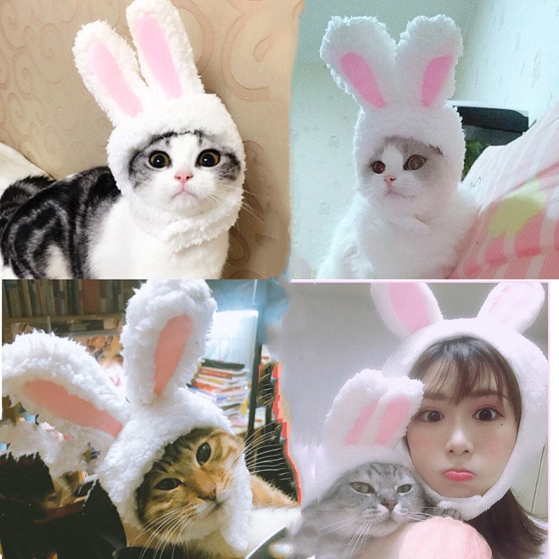 New Funny Pet Dog Cat Cap Costume