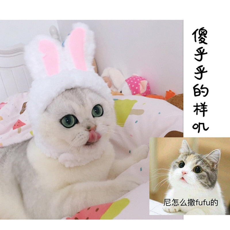 New Funny Pet Dog Cat Cap Costume