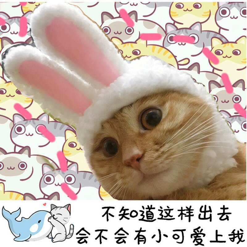 New Funny Pet Dog Cat Cap Costume
